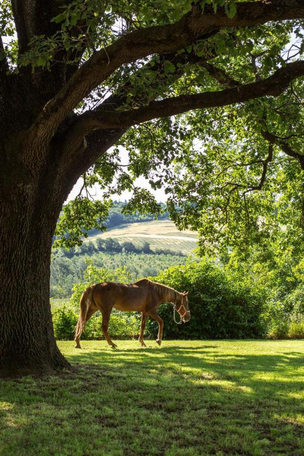 Agriturismo Molino Nuovo Castel San Pietro Terme Exteriér fotografie